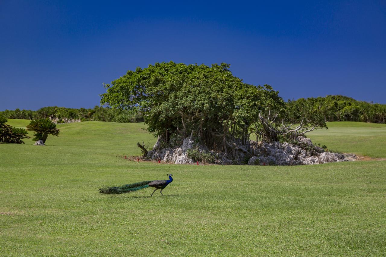Villa Vorla Miyakojima  ภายนอก รูปภาพ